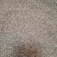 کنجد|عمده‌فروشی|قم, چهل درخت‎|دیوار