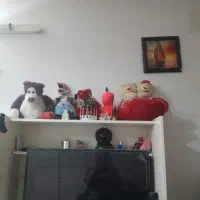 ال ای دی