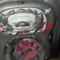 روروئک درحدنو