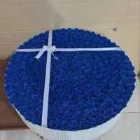 بیا خوشحال شو