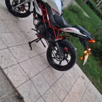 بنلی نیوفیس 1401 در حد صفر