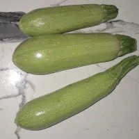 کدو خورشتی تازه