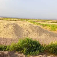 کاه|عمده‌فروشی|نهبندان, |دیوار