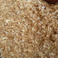 خریدار ضایعات مواد غذایی بیسکوییت نان ماکارونی کیک