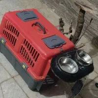 باکس حمل وظرف غذاسگ
