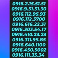 0916.010.3004