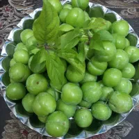 گوجه سبز خوشمزه درشت و آبدار