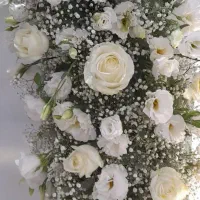 گروه موسیقی فلورز