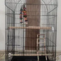 قفس پرده بزرگ