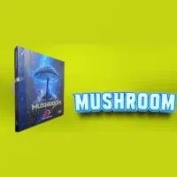 آلبوم کاغذ دیواری ماشروم MUSHROOM