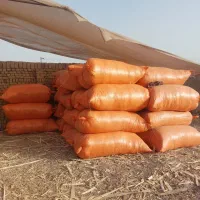 پوشال و تراشه چوب