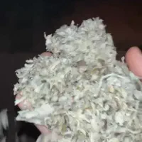تفاله چغندر پرک دام