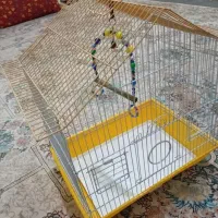 جای پرنده
