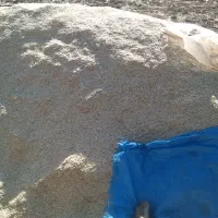 کاه نخود شهرستان دوره چگنی