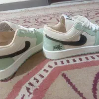 کتونی|کیف، کفش، کمربند|فردیس, ثابتی|دیوار