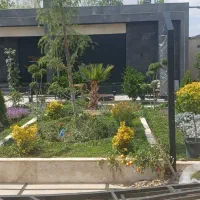 مشاوره واجرای سم پاشی