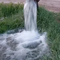 باغچه-کوچک