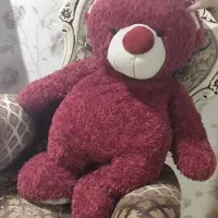 خرس ولنتاین قد۱۲۰فقط امروز۶۰۰خرس لاو۲۰۰
