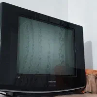 تلویزیون
