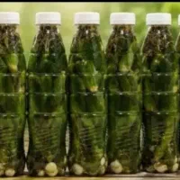 خیارشور تازه و محلی