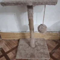 اسکرچر یک طبقه گربه