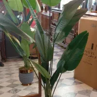 درختچه|گل مصنوعی|بروجرد, |دیوار