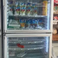 یخچال ایستاده دو در