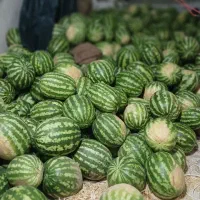 هندوانه جوین
