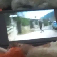 گوشی a11