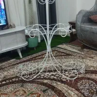 استند|گل و گیاه طبیعی|زاهدان, |دیوار