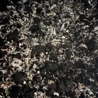 واگزاری کود و کمپوست رایگان