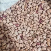 خانمم جویای کار در منزلم