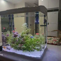 آکواریوم BT500 آکوا در حد نو