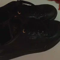 کیف کفش زنانه