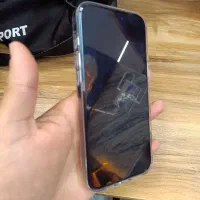 iPhone 16 promax