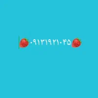 ۰۹۱۳۱۹۲۱۰۴۵