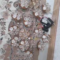 الوژن کلستالی و ترانس سالم در کمال شهر