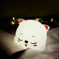 شب خواب سیلیکونی