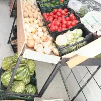 میز میوه فروشی فروش فوری