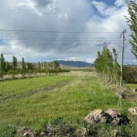زمین برجاده بین المللی (دارای سند ششدانگ)