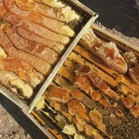 عسل طبیعی