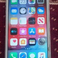 کوشیم گم شده|موبایل|اردبیل, |دیوار