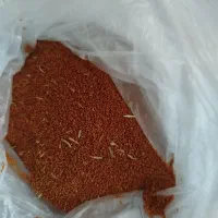 خاکشیر