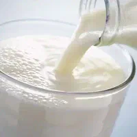 شیر گاوی پرچرب
