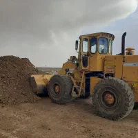 فروش کود گاوی