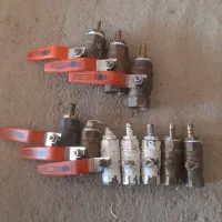 شیر یک دوم