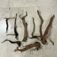 ۷ تکه چوب آبنوس خارجی
