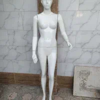 مانکن کامل. نیم تنه و مانکن پا