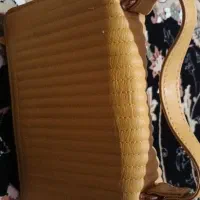 کیف خردلی