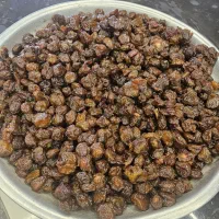 آلو بخارا آفتابی